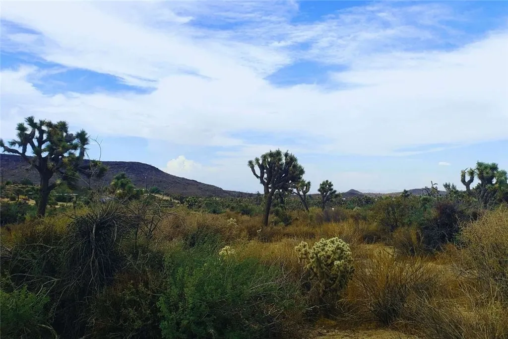 Additional image 7 of 56200 Skyline Ranch Road, Yucca Valley, CA 92284