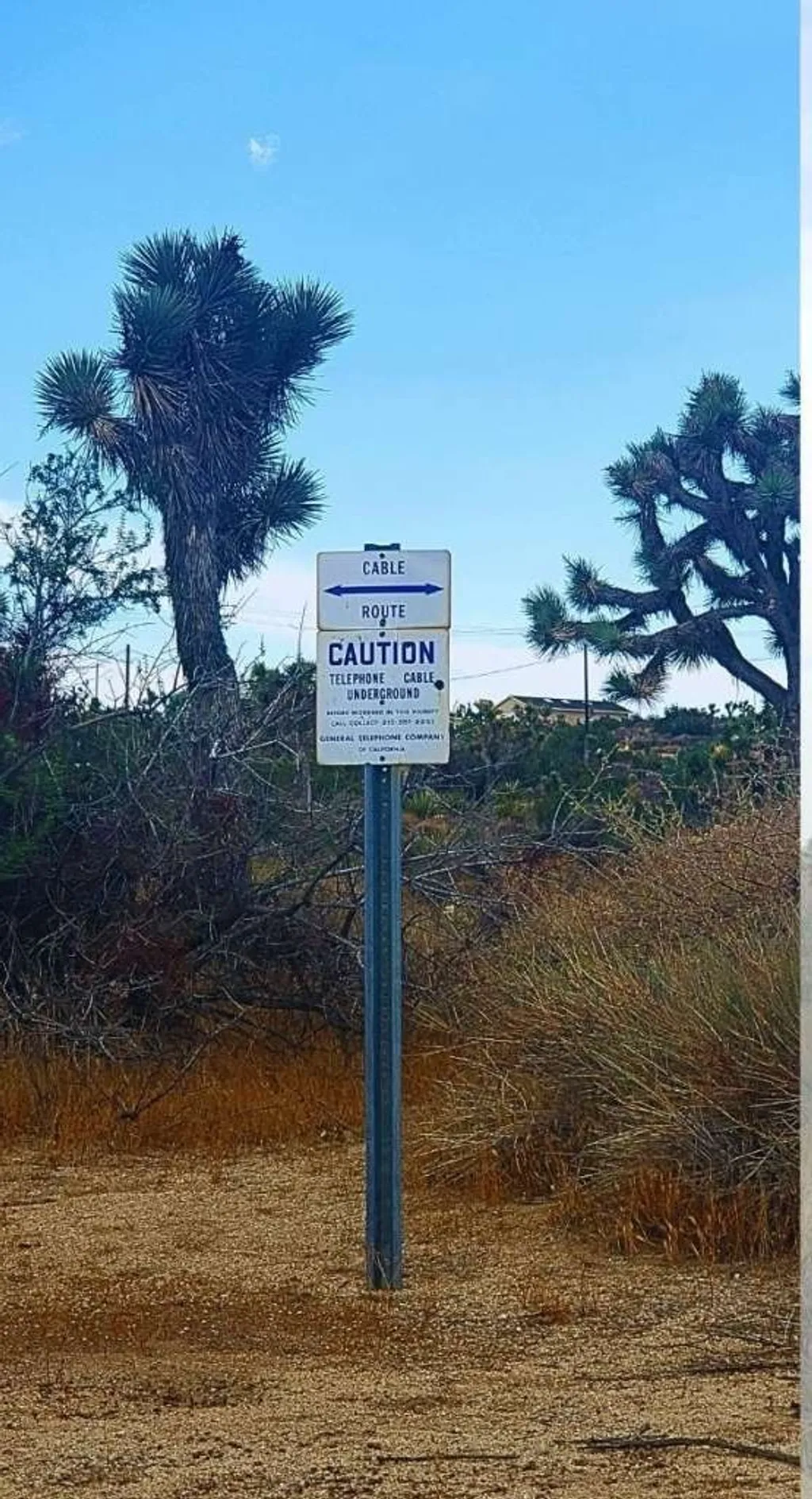 Additional image 13 of 56200 Skyline Ranch Road, Yucca Valley, CA 92284