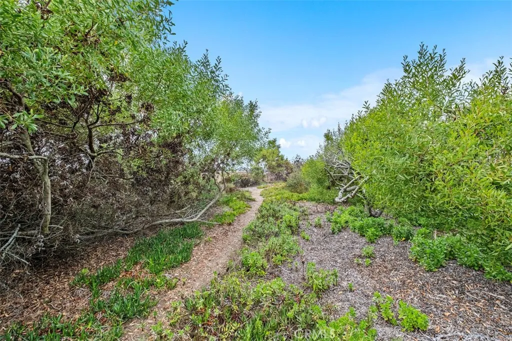 Additional image 22 of 1694 Del Mar Ave, Laguna Beach, CA 92651