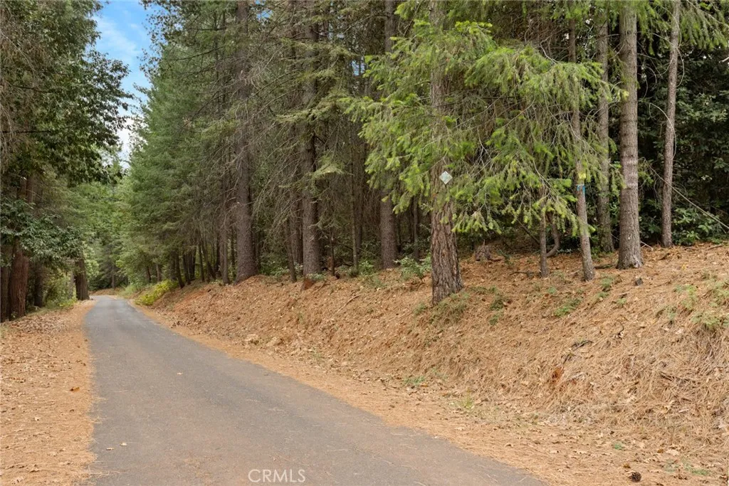 Additional image 5 of 1 Old Forbestown Road, Forbestown, CA 95941