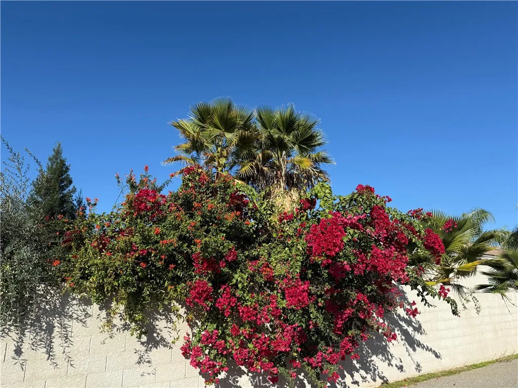 Additional image 13 of 3165 Augusta St, Chowchilla, CA 93610