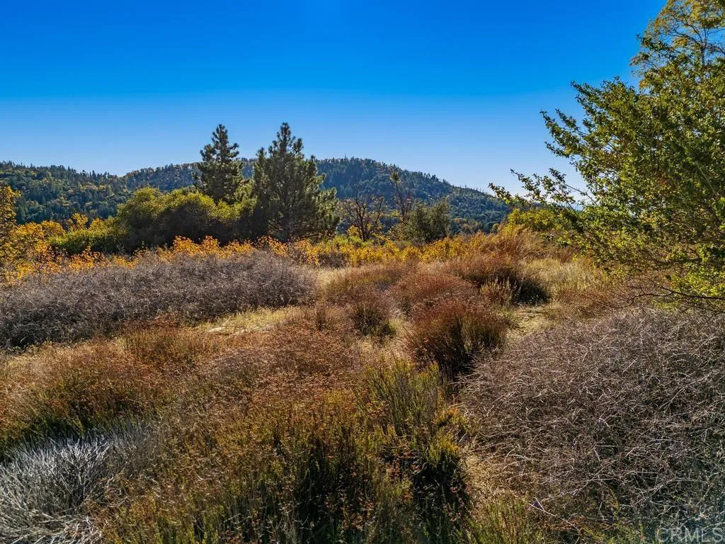 Additional image 30 of State Park Road, Palomar Mountain, CA 92060
