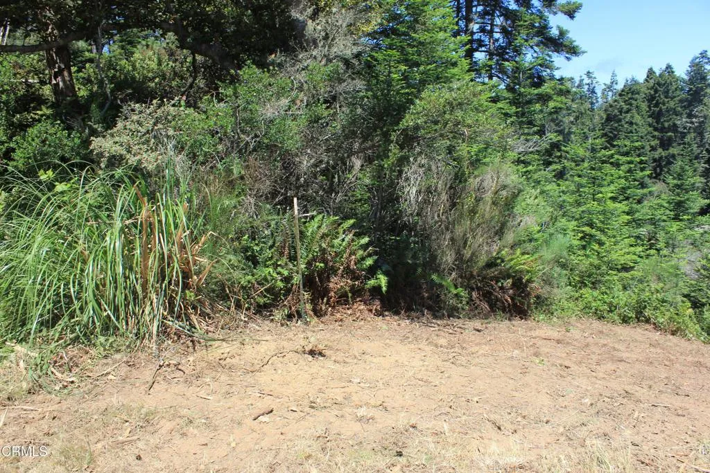 Property image for 44068 Ocean Vista Court, Mendocino, CA 95460