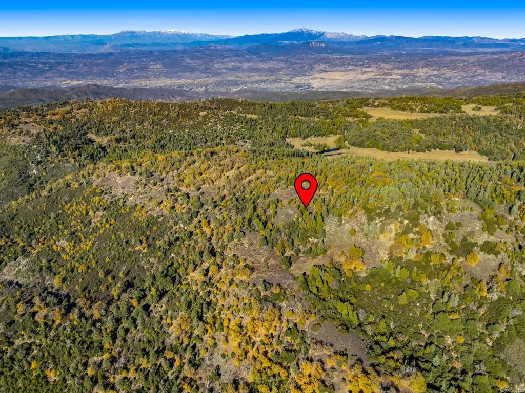 Additional image 66 of State Park Road, Palomar Mountain, CA 92060