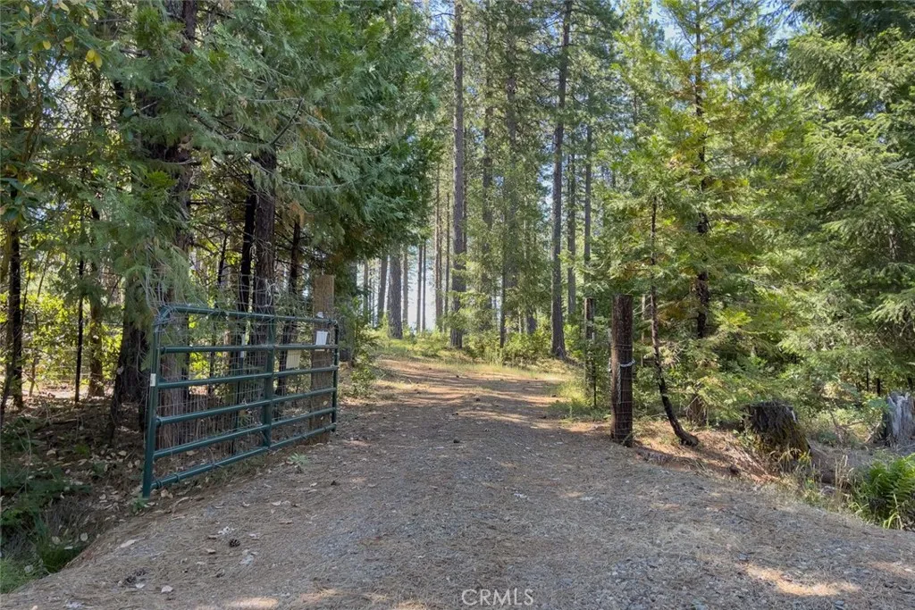 Additional image 41 of forbestown rd, Forbestown, CA 95941