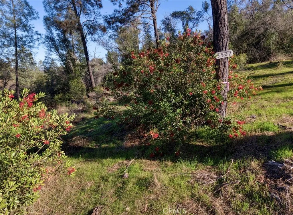 Additional image 34 of 3522 Filmore Avenue, Clearlake, CA 95422