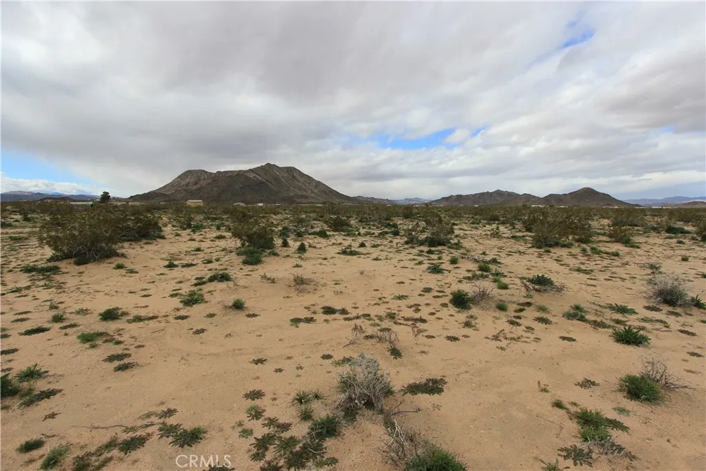 Additional image 7 of Mallow, Landers, CA 92285