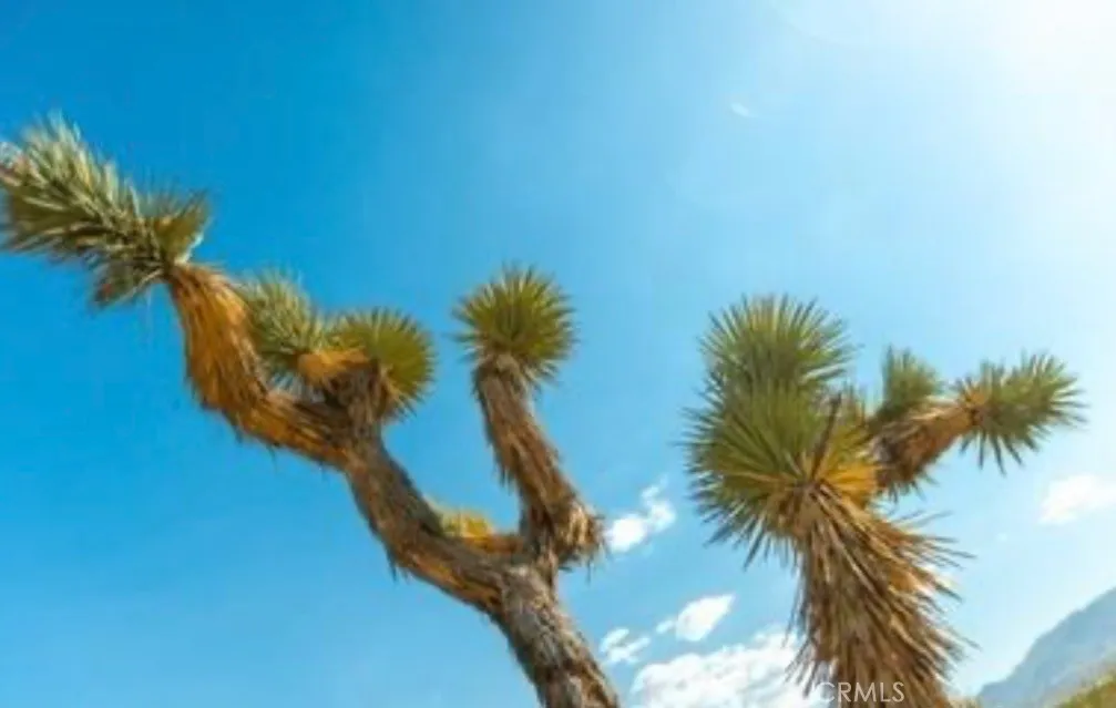 Additional image 24 of 10 171st E, Palmdale, CA 93591