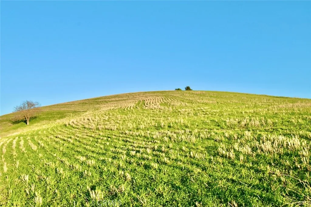 Additional image 9 of 3780 S Gillis Canyon, Shandon, CA 93461