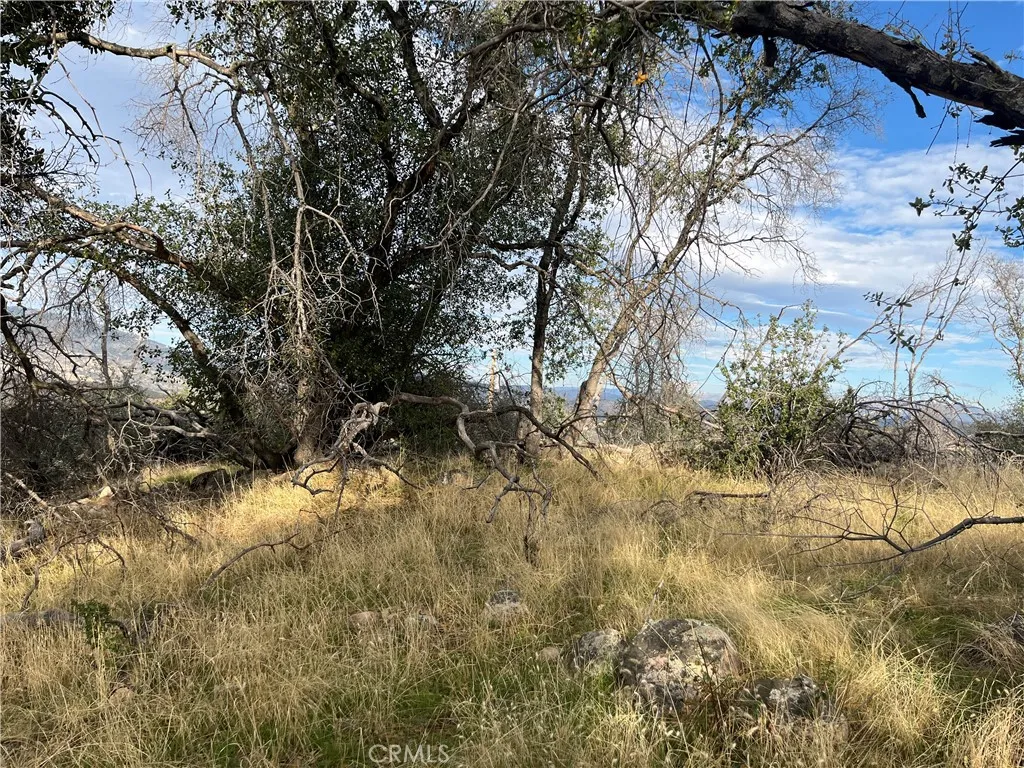 Additional image 132 of 4934 Guadalupe Fire, Catheys Valley, CA 95306