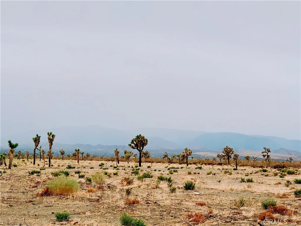 Additional image 23 of 12452 Golden View Rd, Pinon Hills, CA 92372