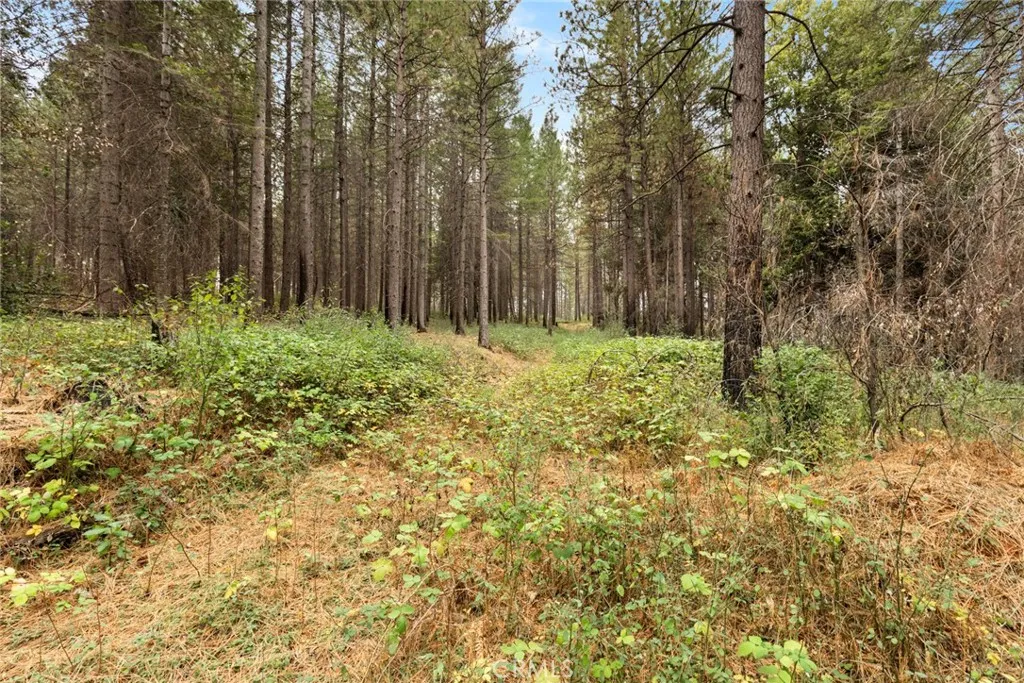 Additional image 16 of Old Forbestown Road, Forbestown, CA 95941