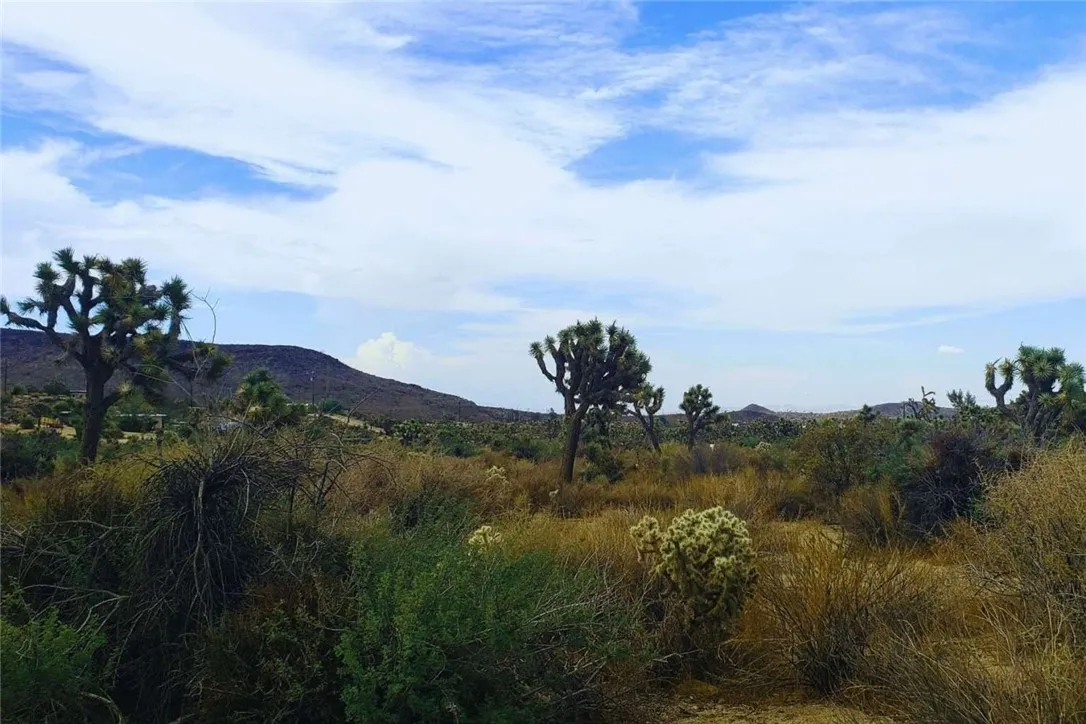 Additional image 20 of 56200 Skyline Ranch Road, Yucca Valley, CA 92284