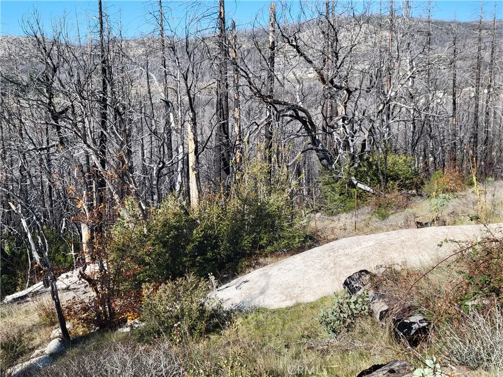 Additional image 17 of 161 Shadow Creek Road, Berry Creek, CA 95916