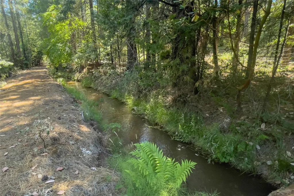 Additional image 45 of forbestown rd, Forbestown, CA 95941