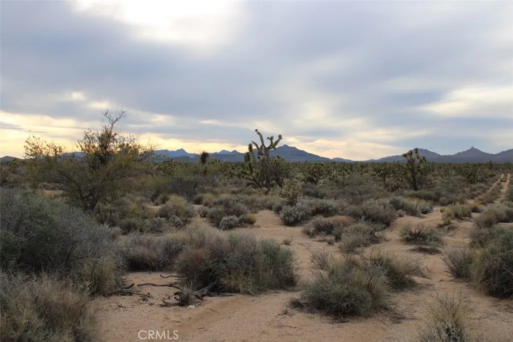 Additional image 5 of Cedar Canyon, Essex, CA 92332