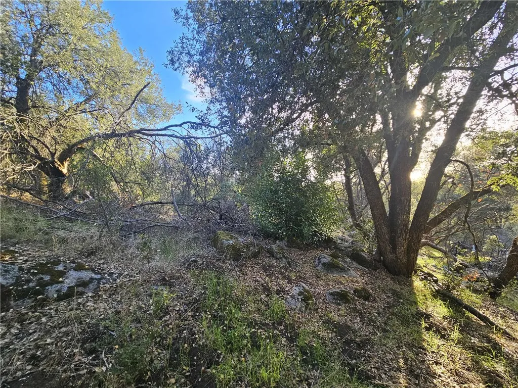 Additional image 14 of 58111 Lark Ln, North Fork, CA 93643