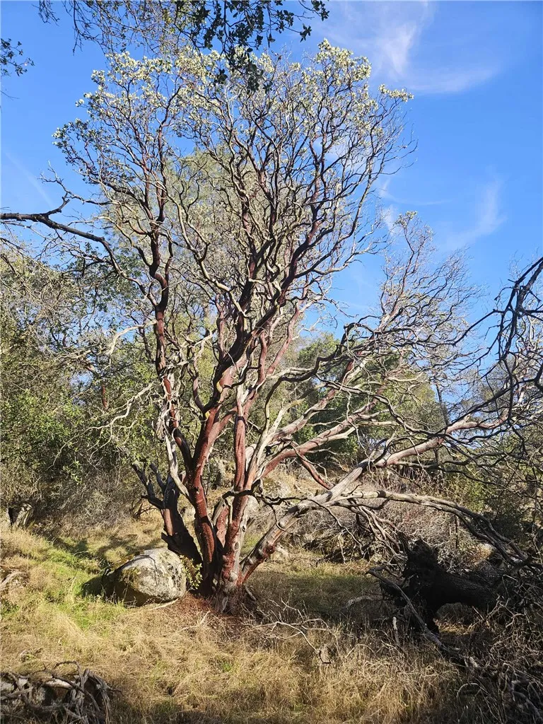 Additional image 37 of 58111 Lark Ln, North Fork, CA 93643