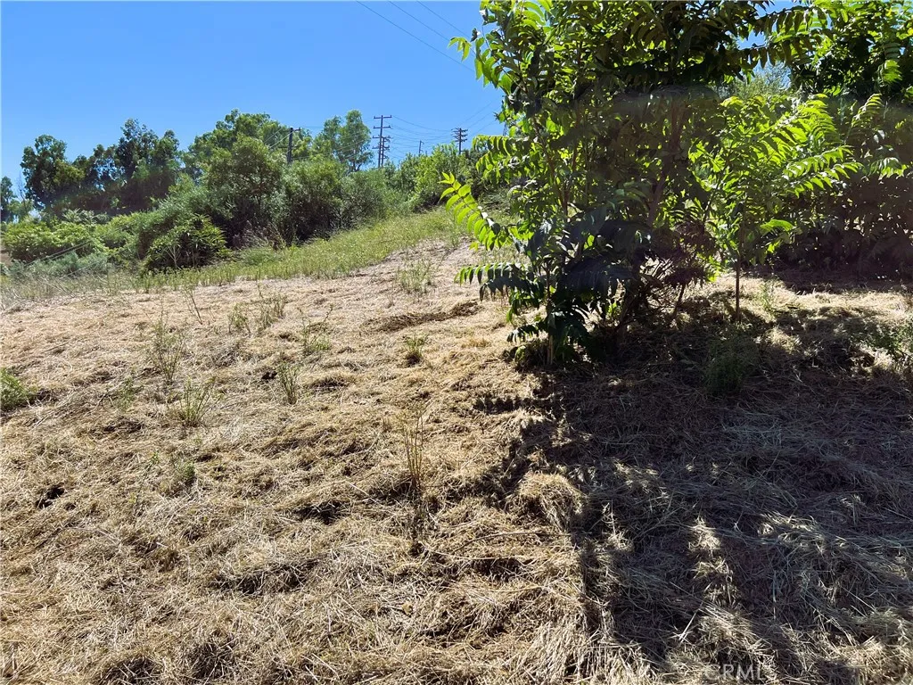 Additional image 5 of Latigo Canyon Rd, Malibu, CA 90265