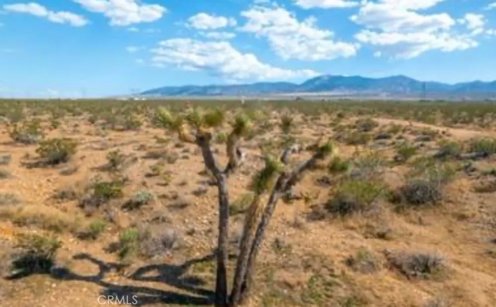 Additional image 37 of 10 171st E, Palmdale, CA 93591