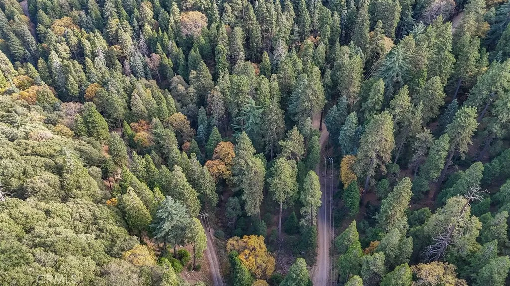 Additional image 5 of Deer Run Road, Cedarpines Park, CA 92322