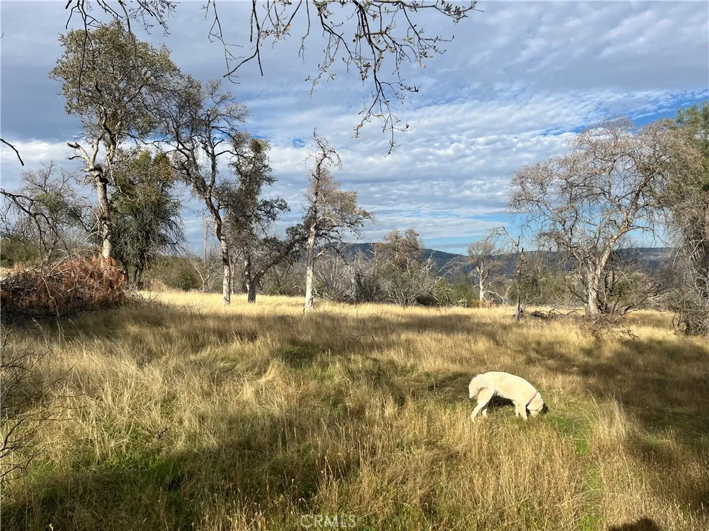 Additional image 65 of 4934 Guadalupe Fire, Catheys Valley, CA 95306