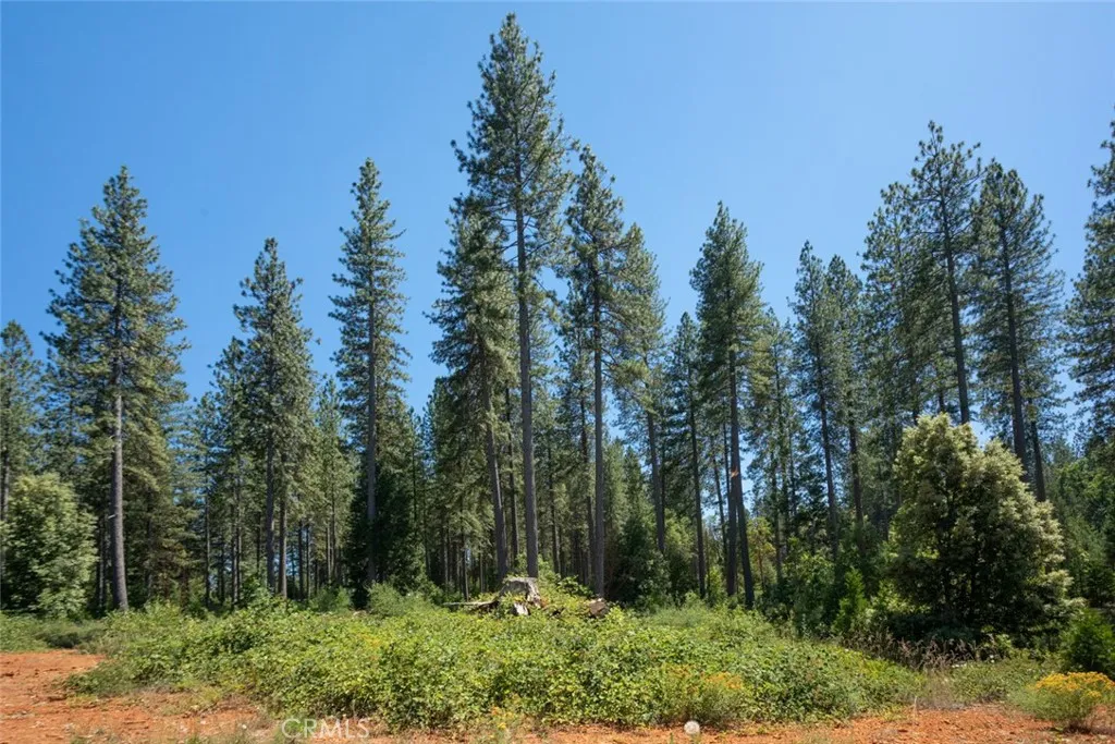 Additional image 75 of forbestown rd, Forbestown, CA 95941