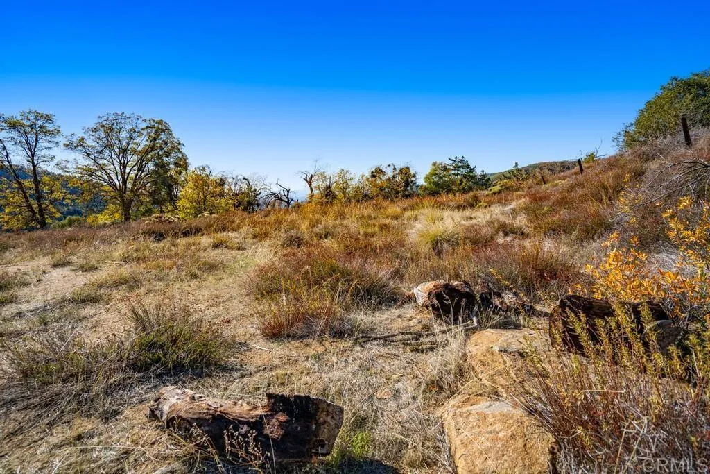 Additional image 11 of State Park Road, Palomar Mountain, CA 92060