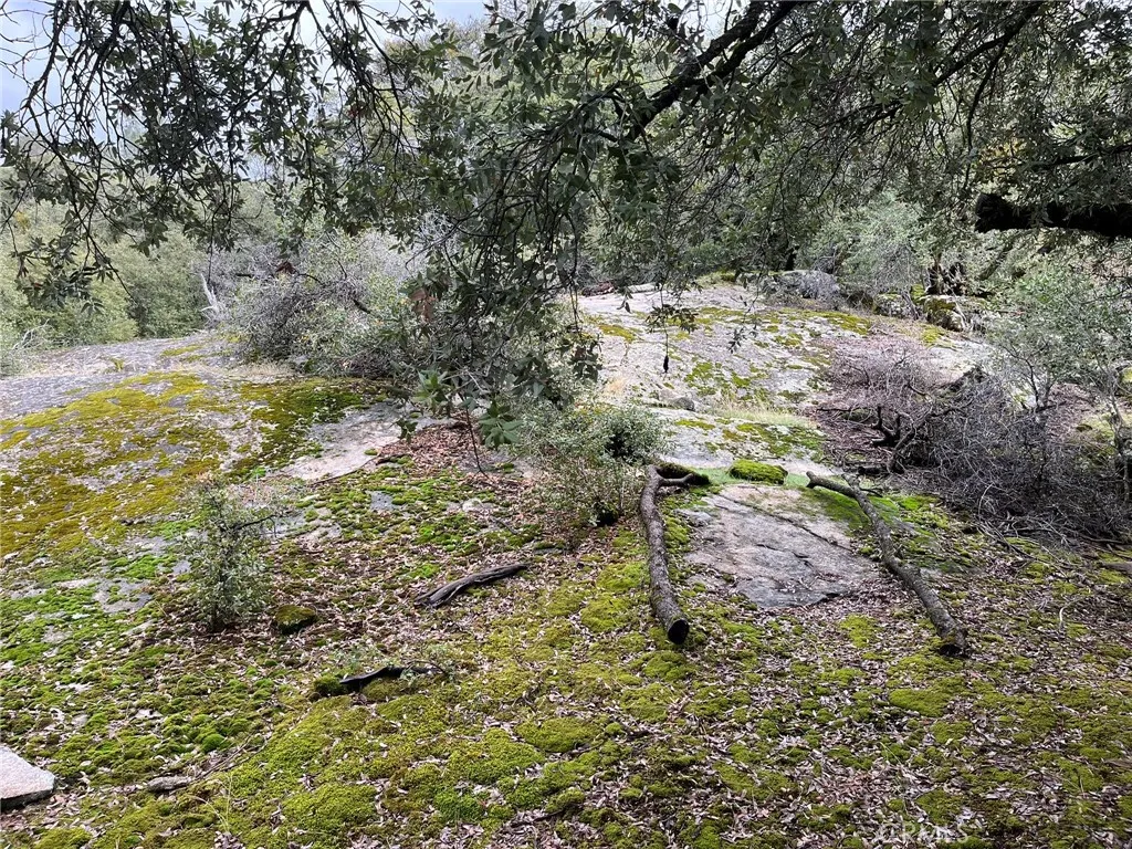 Additional image 7 of Jean Road E, Oakhurst, CA 93644
