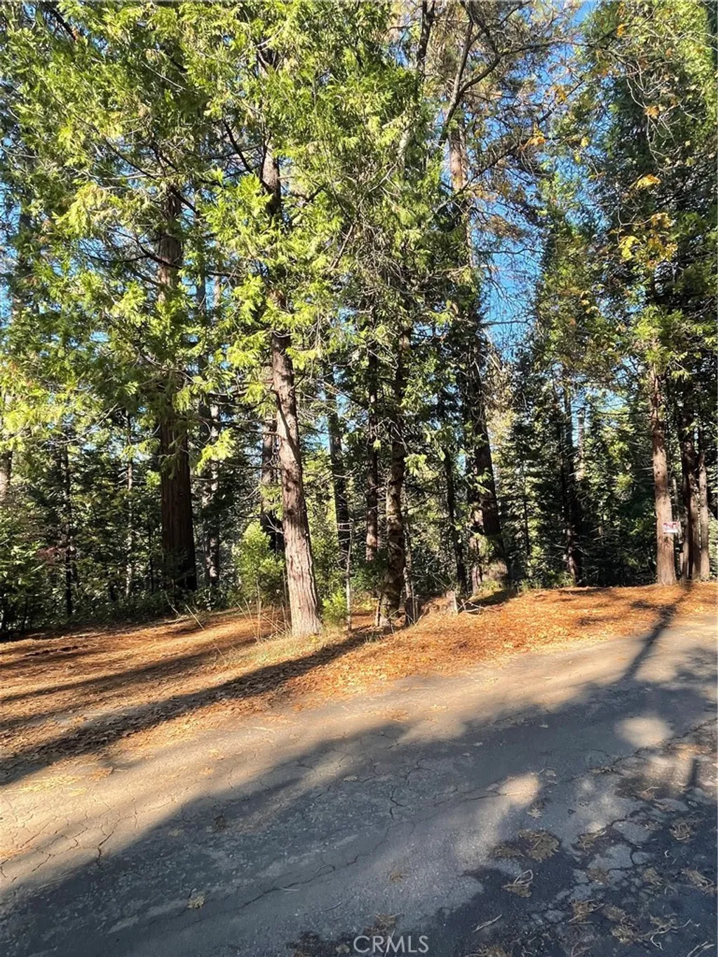 Additional image 4 of 22447 Ponderosa Drive, Twain Harte, CA 95383