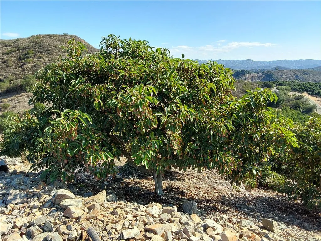 Additional image 54 of 3 Via Vaquero, Temecula, CA 92590