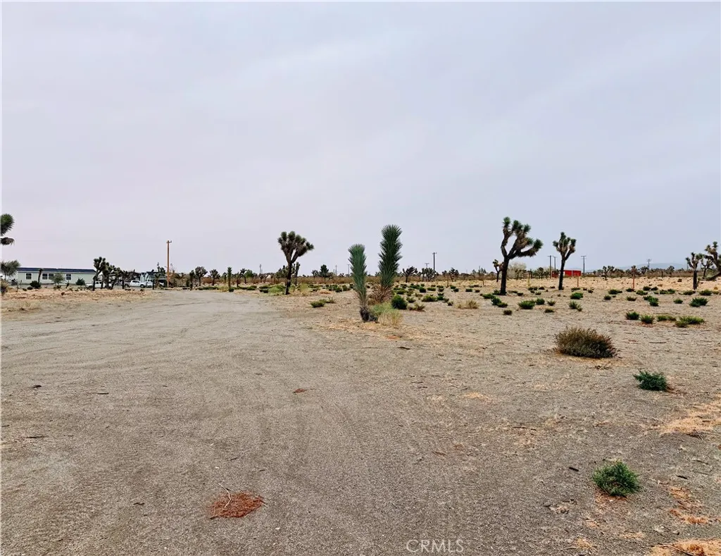 Additional image 7 of 12452 Golden View Rd, Pinon Hills, CA 92372