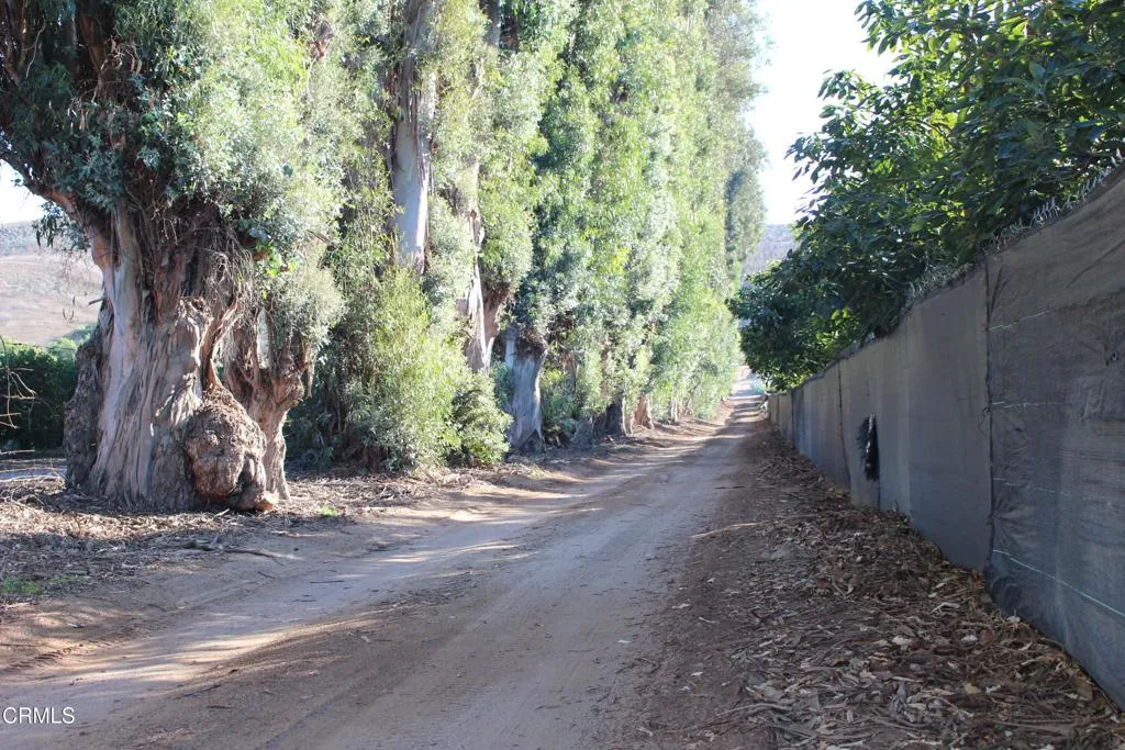 Additional image 8 of 1672 E Los Angeles Avenue, Somis, CA 93066