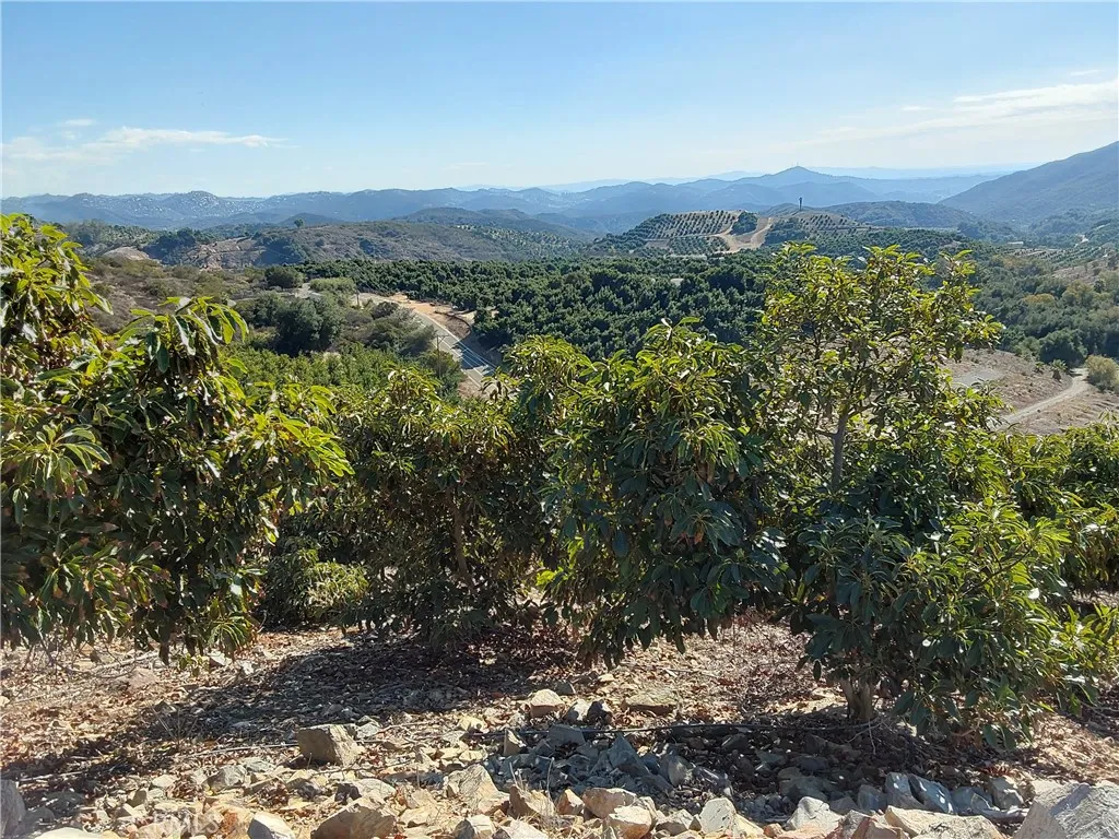 Additional image 19 of 3 Via Vaquero, Temecula, CA 92590