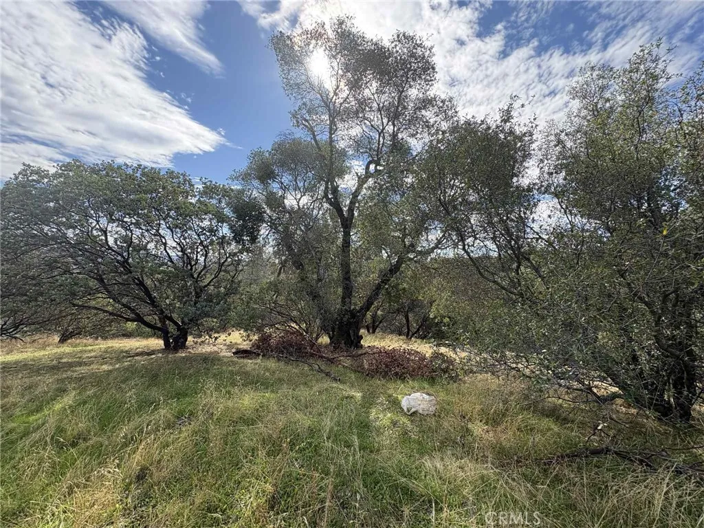 Additional image 14 of 38699 Road 600, Raymond, CA 93653