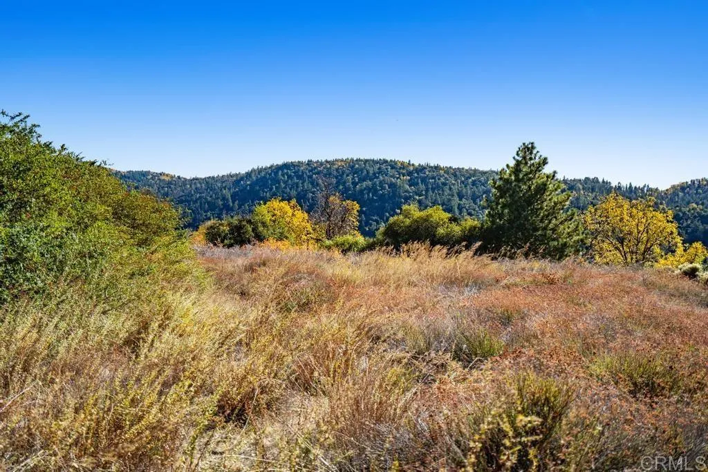 Additional image 8 of State Park Road, Palomar Mountain, CA 92060
