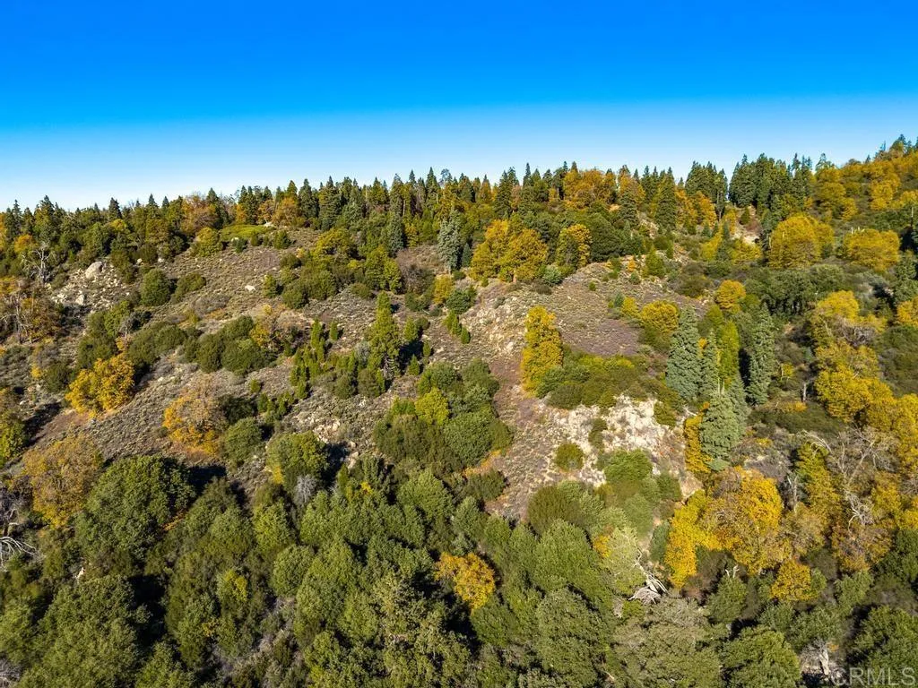 Additional image 56 of State Park Road, Palomar Mountain, CA 92060