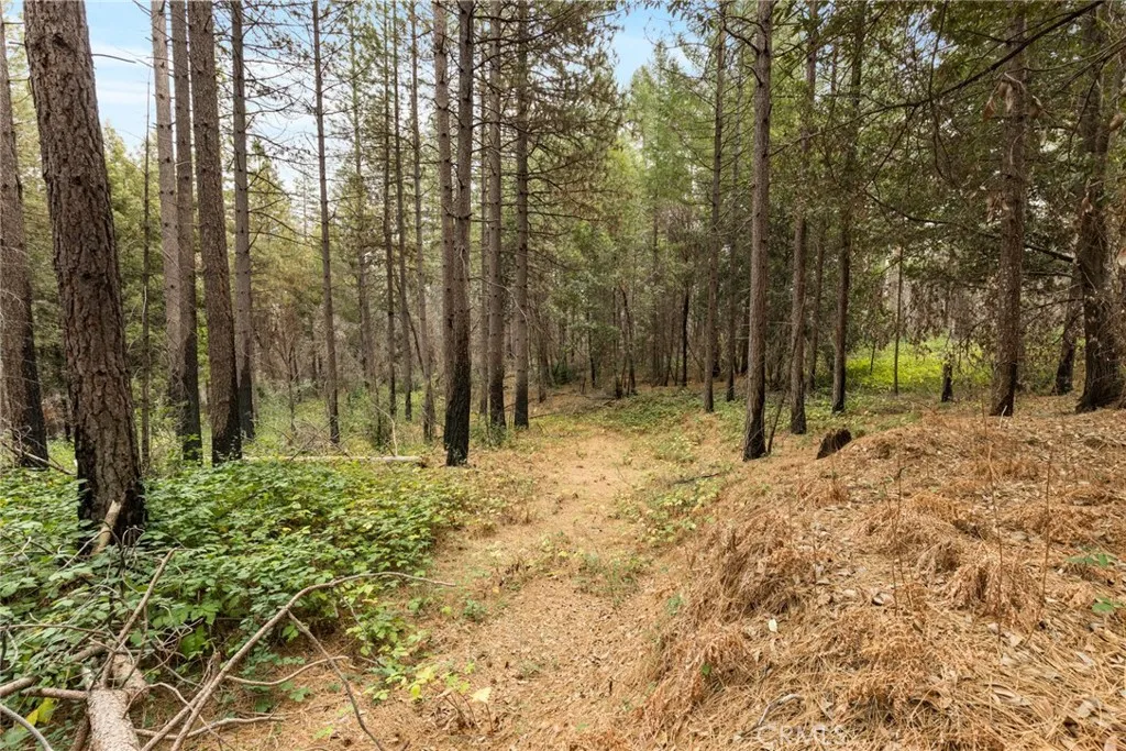 Additional image 29 of Old Forbestown Road, Forbestown, CA 95941