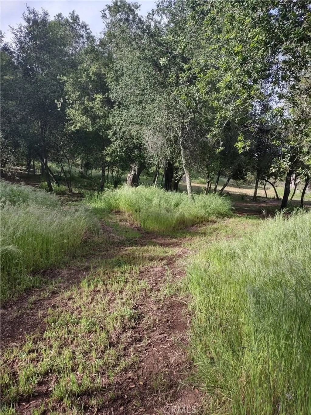 Additional image 10 of Avenida Perla Bonita, Murrieta, CA 92562