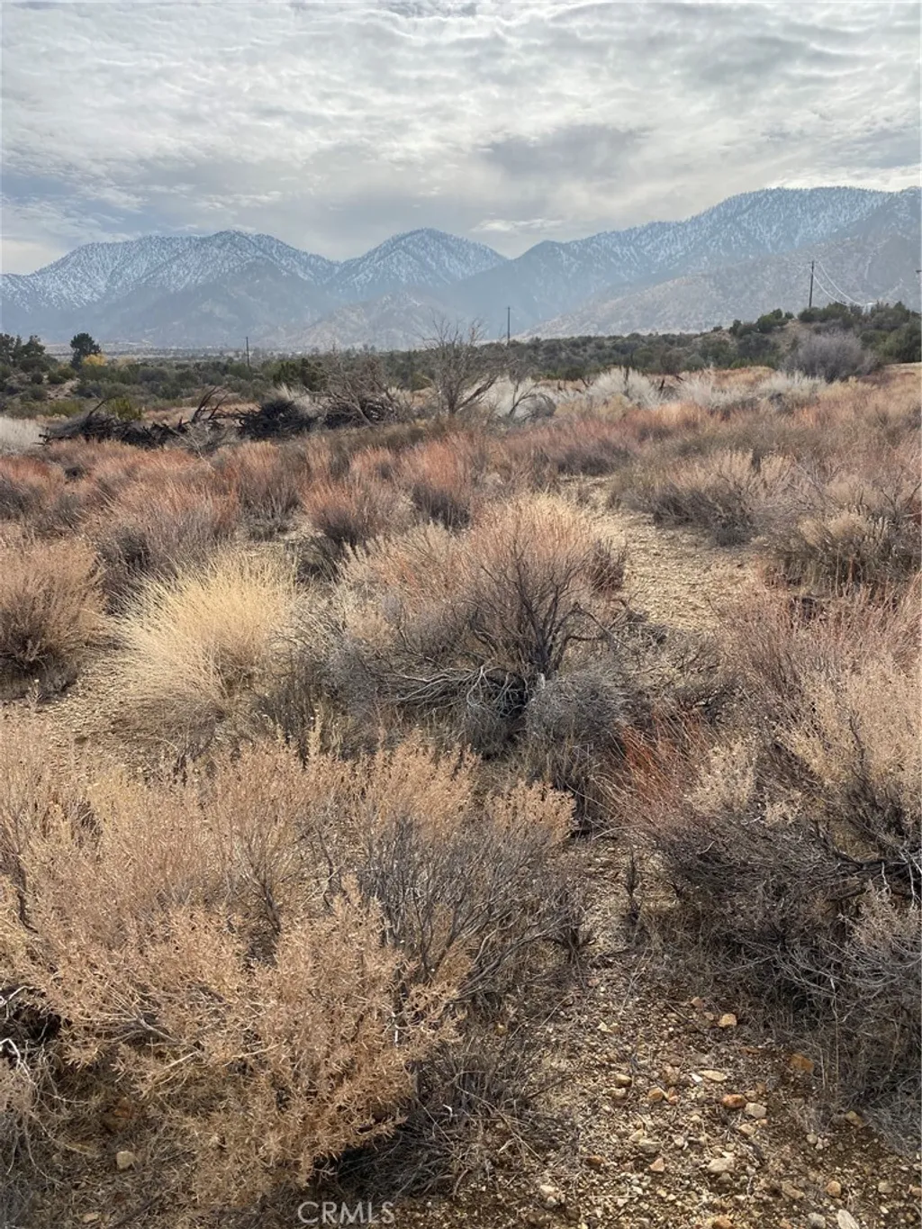 Additional image 15 of 14 E Vac/Z14E Lepage Ranch Rd/Vic,, Juniper Hills, CA 93543