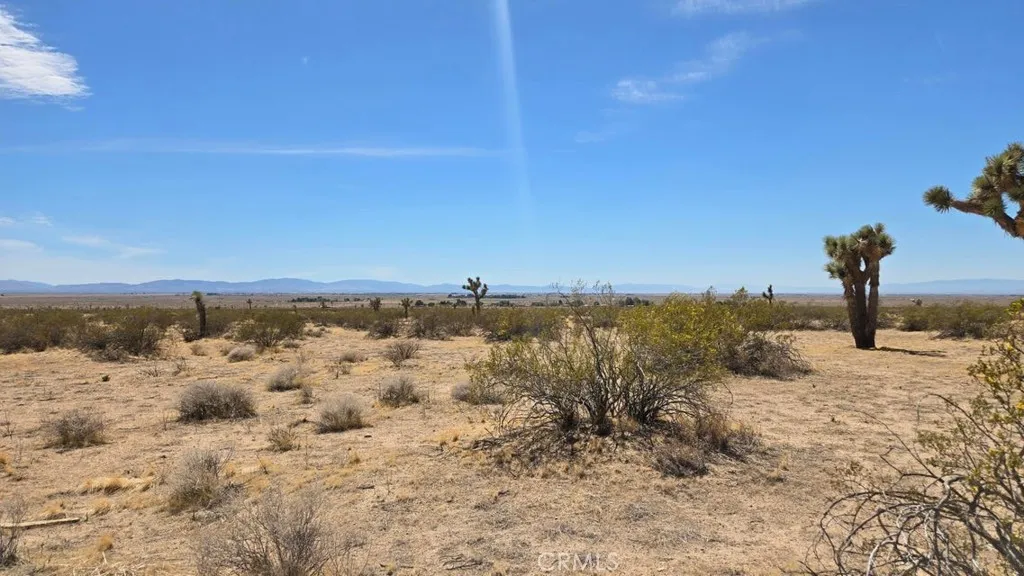 Additional image 28 of 147th St E vicinity Capleton Dr (Ave G4), Lancaster, CA 93535