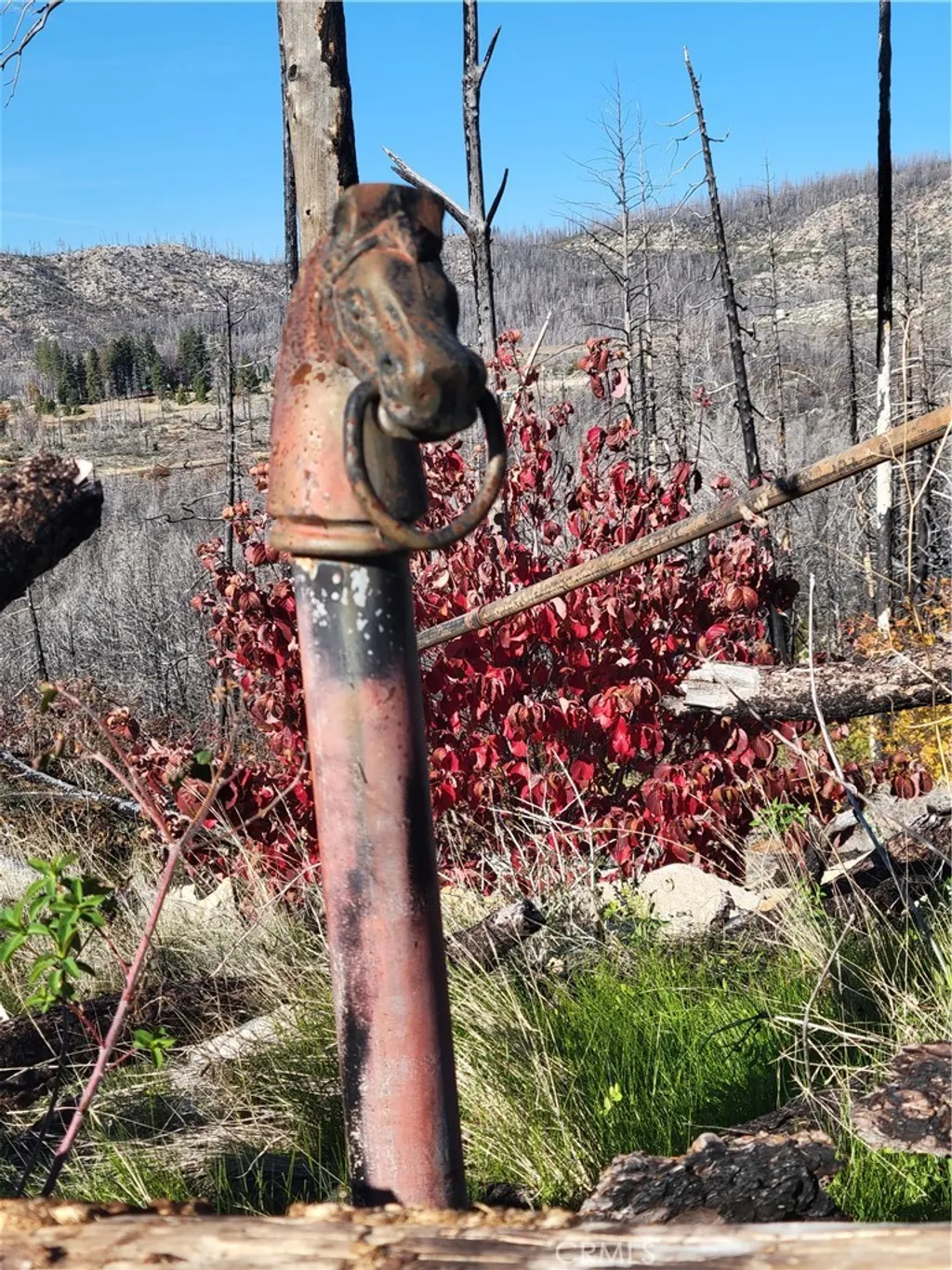 Additional image 9 of 161 Shadow Creek Road, Berry Creek, CA 95916