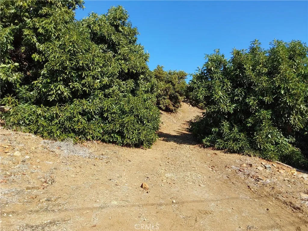 Additional image 70 of 3 Via Vaquero, Temecula, CA 92590