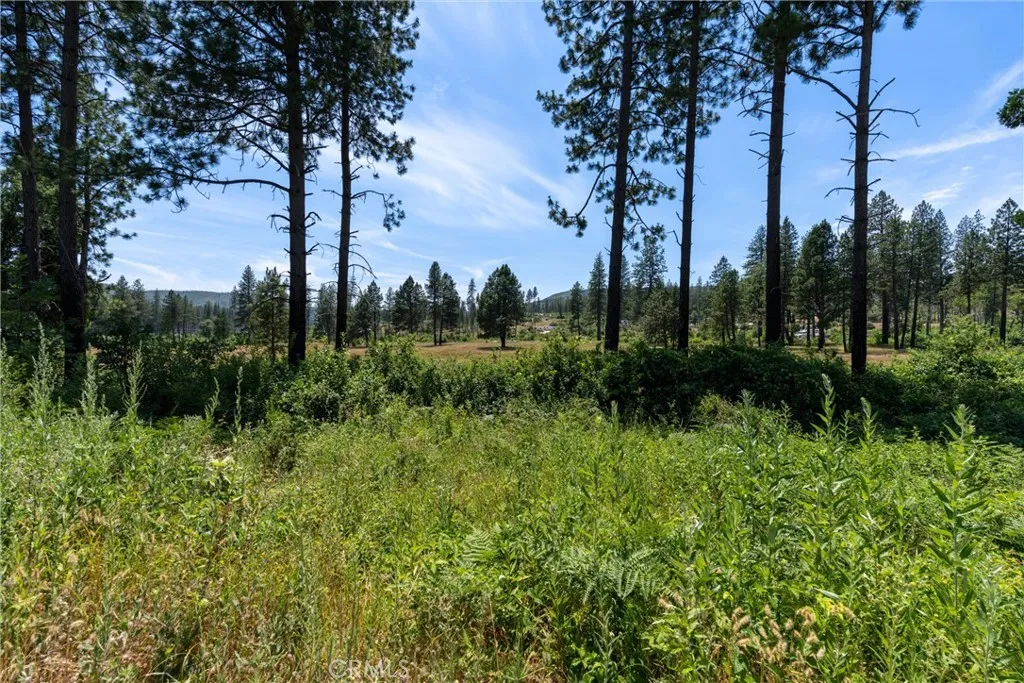 Additional image 32 of 100 Windermere Lane, Concow, CA 95965