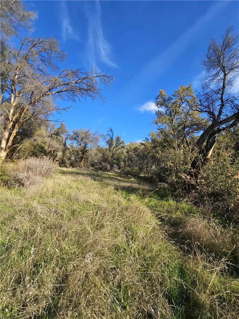 Additional image 40 of 58111 Lark Ln, North Fork, CA 93643