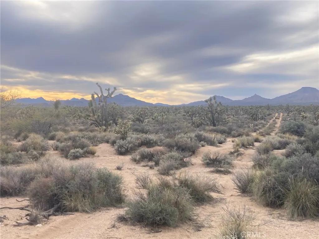 Additional image 7 of Cedar Canyon, Essex, CA 92332