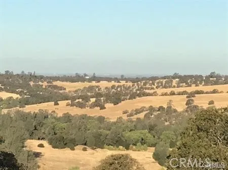 Additional image 8 of Avacado, Bangor, CA 95914