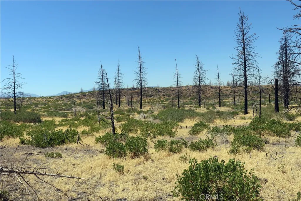 Additional image 11 of Juniper Valley Drive, Weed, CA 96094