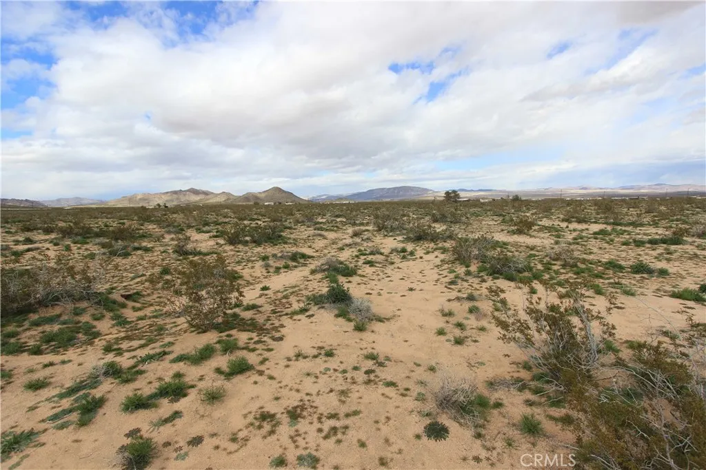 Additional image 12 of Mallow, Landers, CA 92285