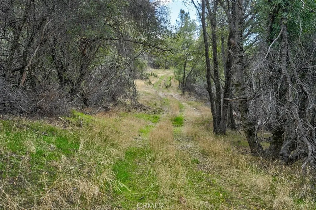 Additional image 12 of Watt Rd Extension, Mariposa, CA 95338